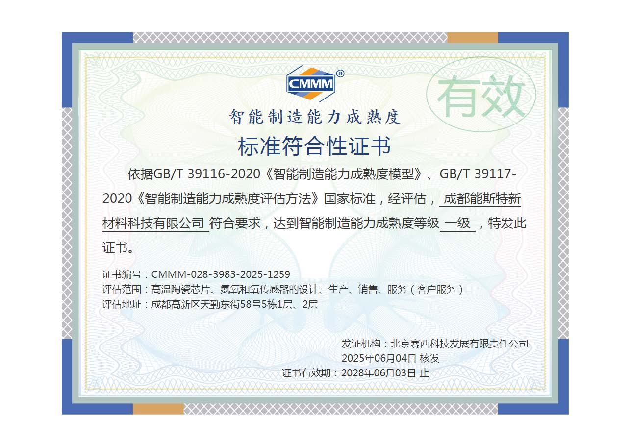 CMMM一级